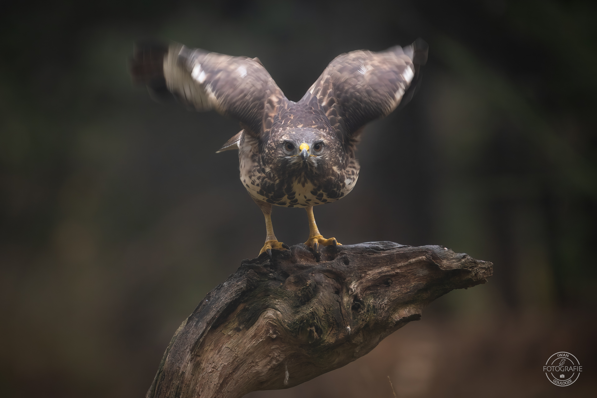 23 oktober 2022 093107 1R2A8541 bewerkt bewerkt